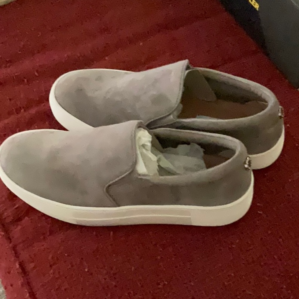 New in box Steve Madden suede loafer sneakers